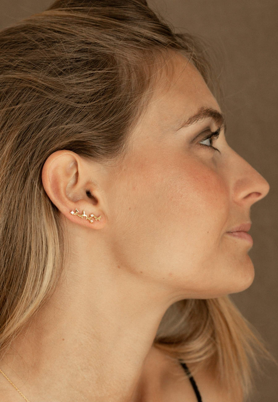 Pendientes de plata TREPADORES MARIPOSA plata