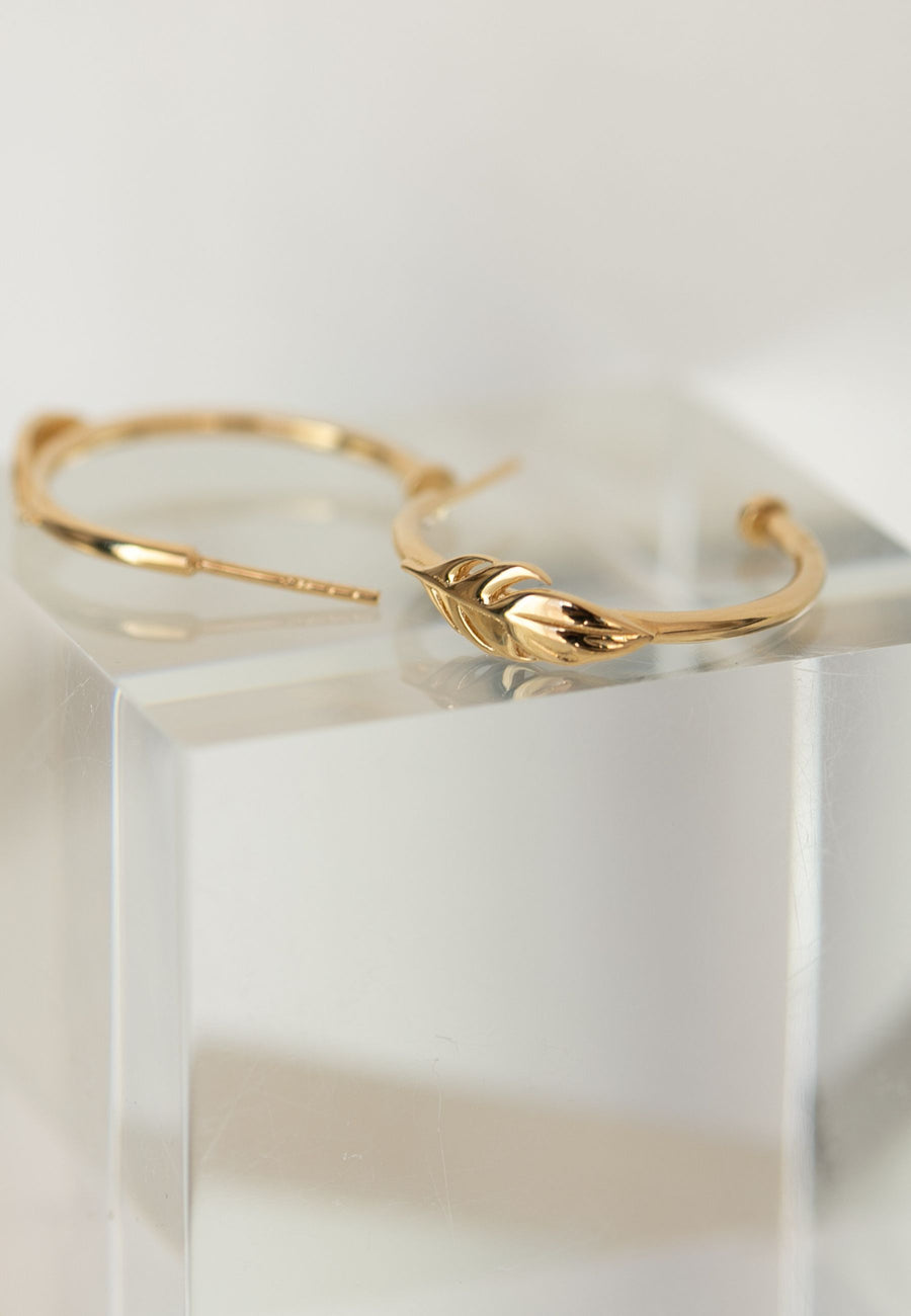 Pendientes aro PLUMA ROJA oro