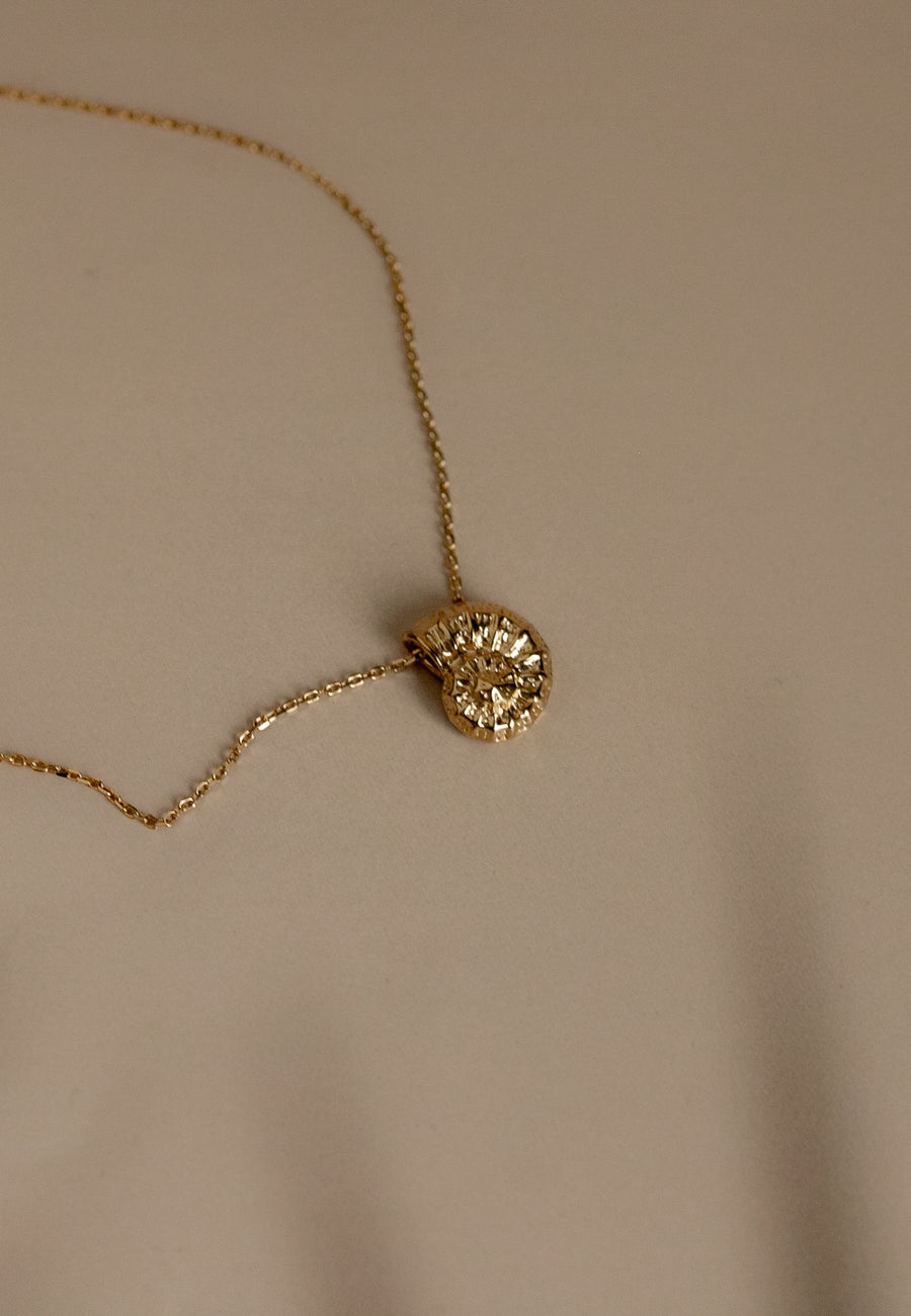 Collar con colgante concha AMONITA en Plata de Ley 925 y baño oro