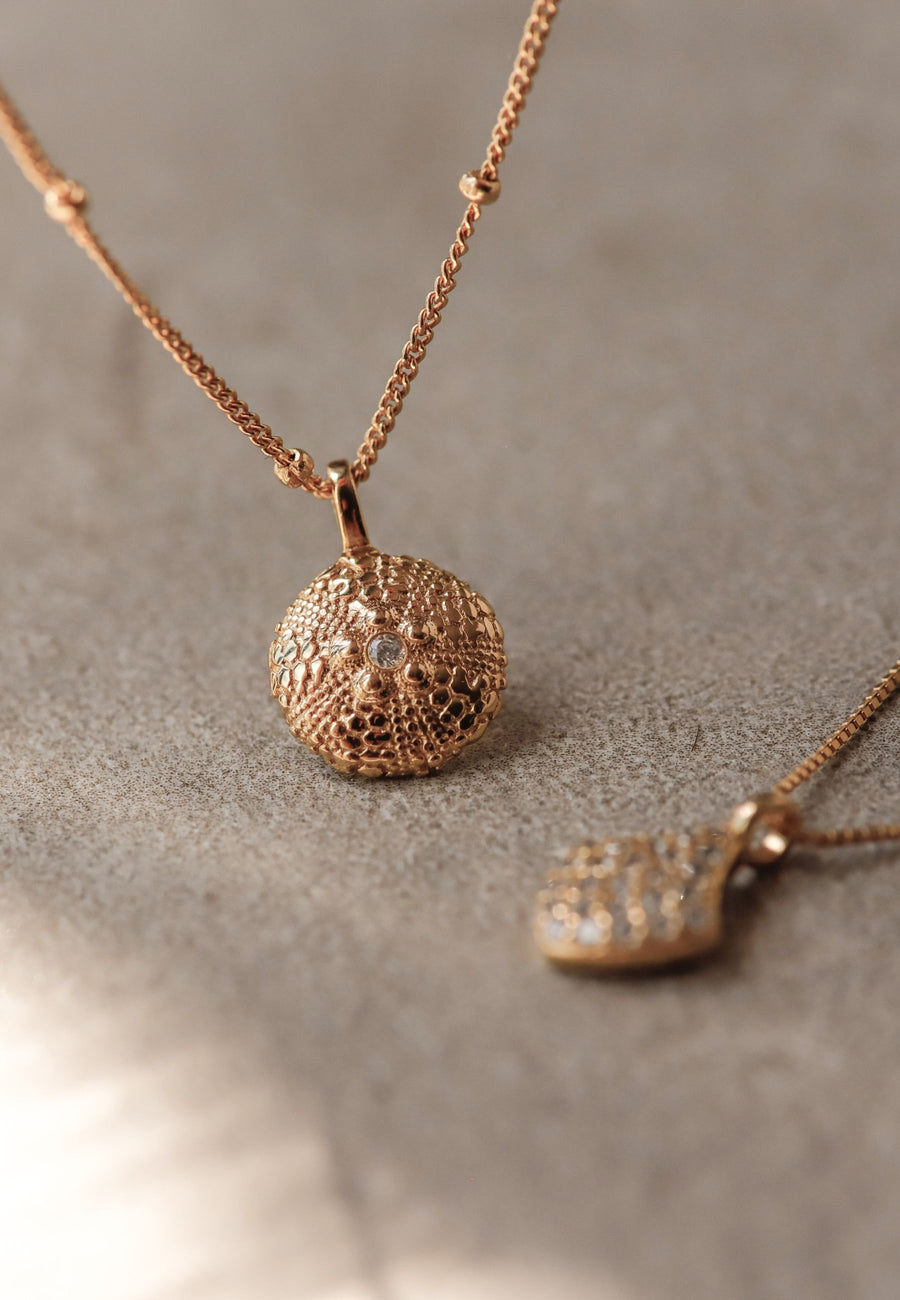 Collar ERIZO DE MAR con circonita en plata y baño en oro